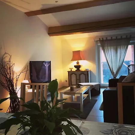 Apartment De La Guerine *